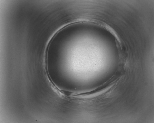 X0000069791148200605261650