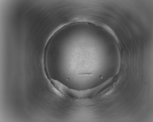 X0000069791149200605261650