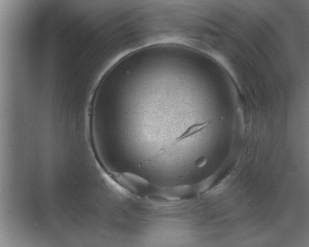 X0000069791151200605261650