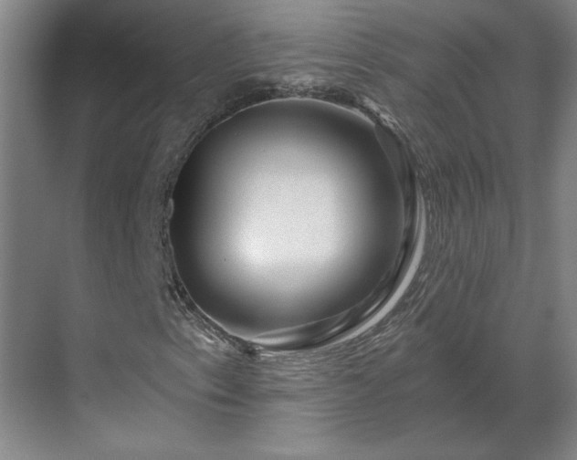 X0000069791153200605261649