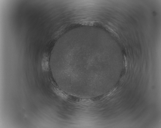 X0000069791154200605261649