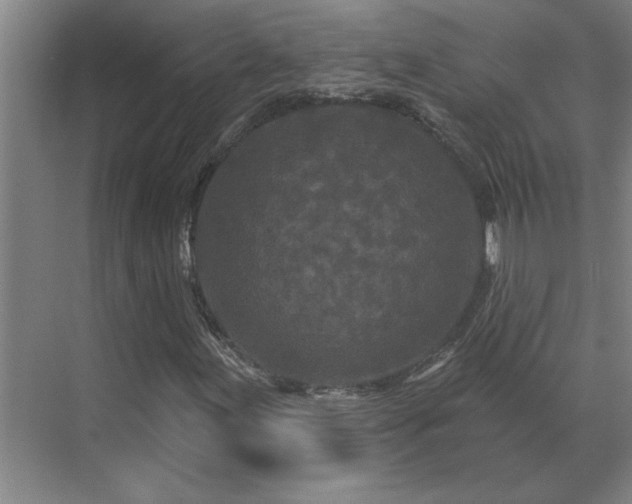 X0000069791155200605261649