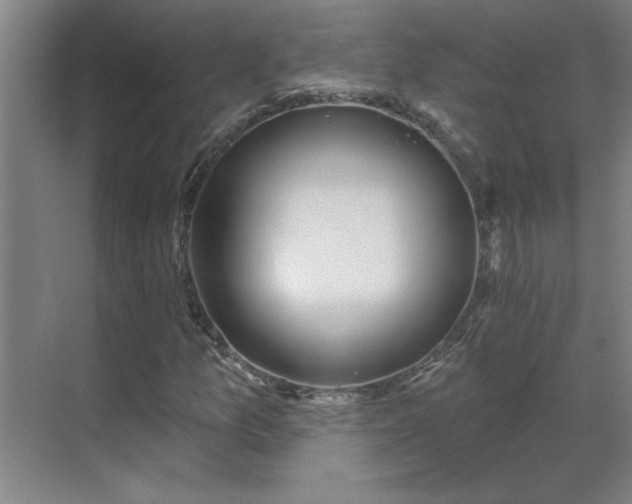 X0000069791157200605261649