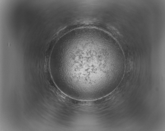 X0000069791158200605261649