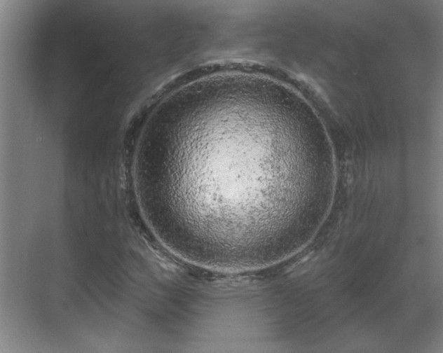 X0000069791159200605261649