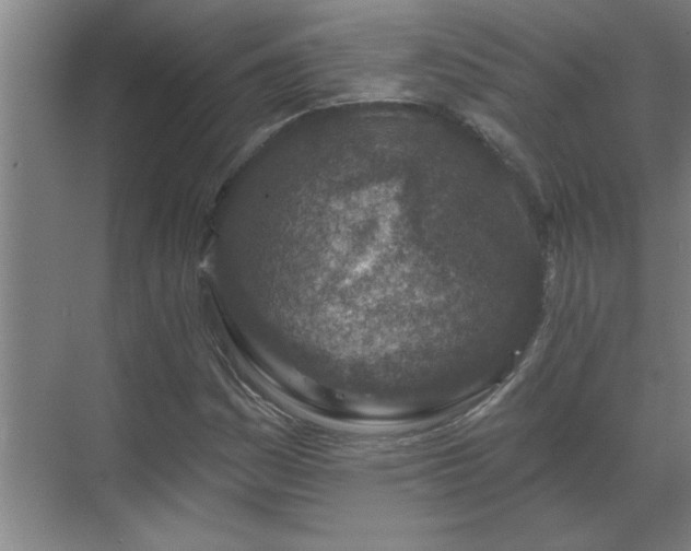 X0000069791161200605261649