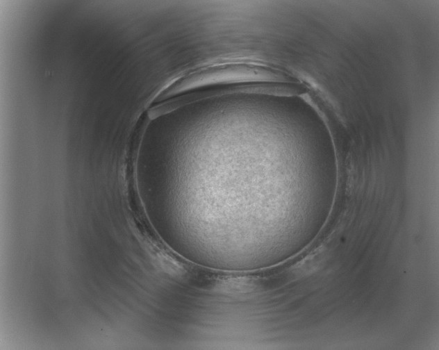 X0000069791162200605261649