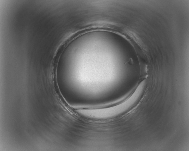 X0000069791164200605261649