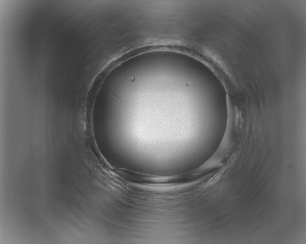 X0000069791165200605261649