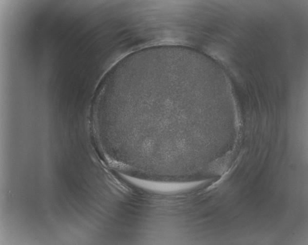 X0000069791170200605261649