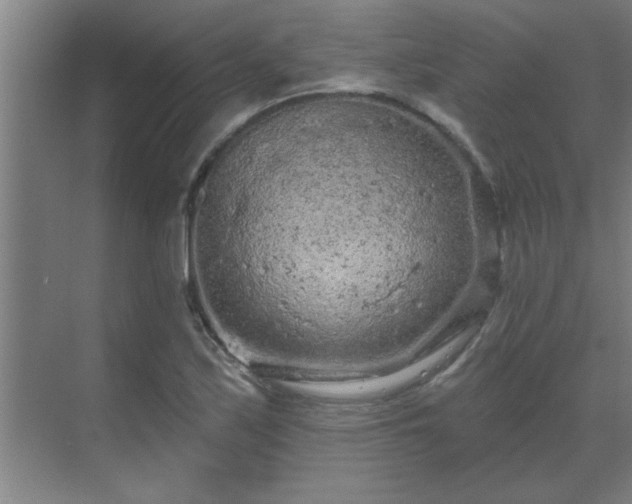 X0000069791171200605261649