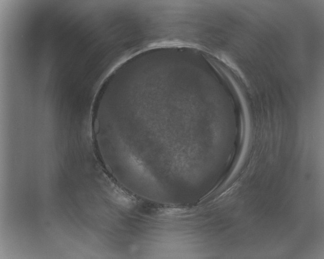 X0000069791173200605261649