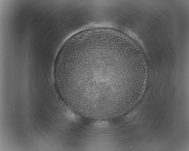 X0000069791174200605261649