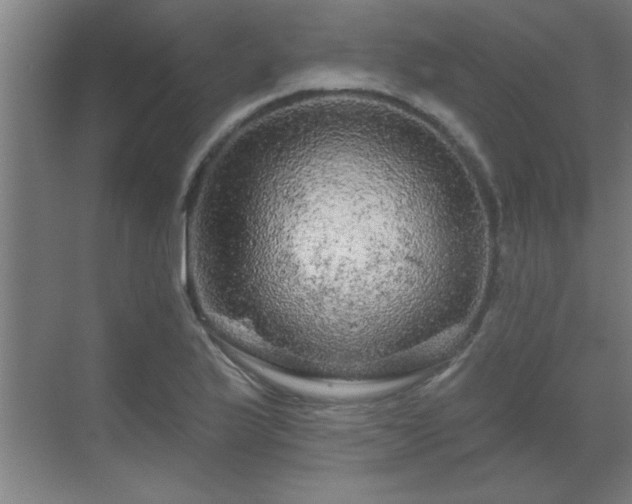 X0000069791175200605261649