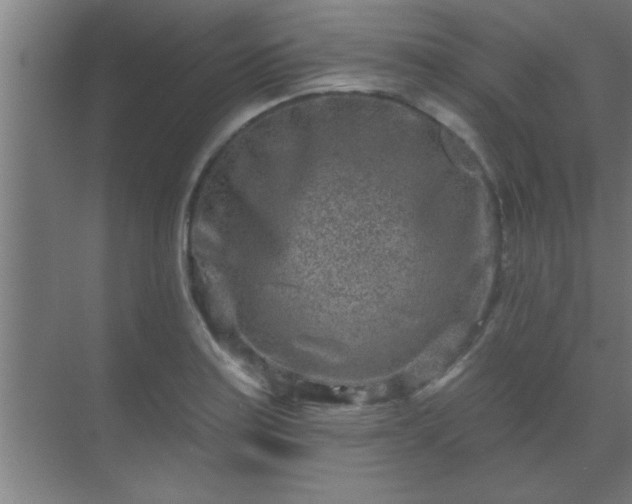 X0000069791179200605261649