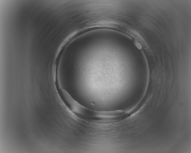 X0000069791180200605261649