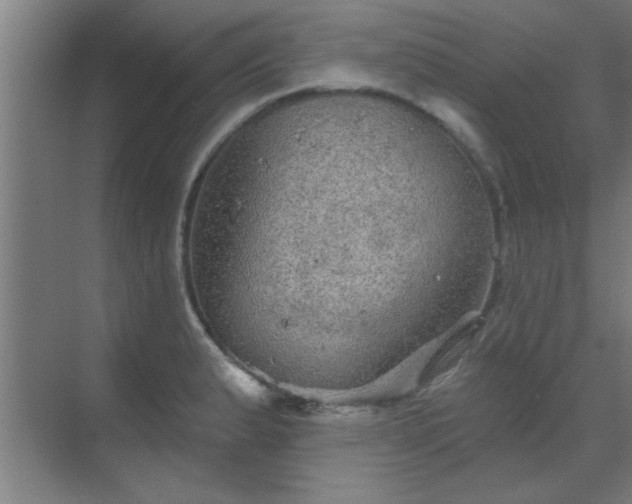 X0000069791183200605261649