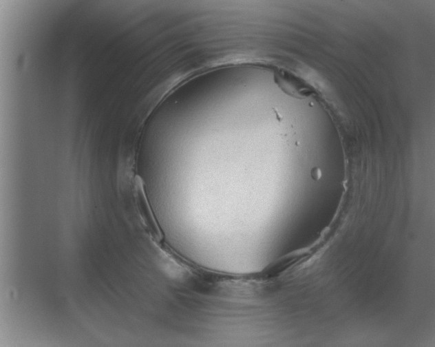 X0000069791185200605261649