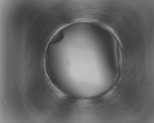 X0000069791187200605261649