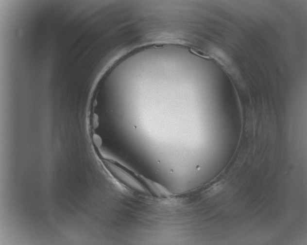 X0000069791188200605261649