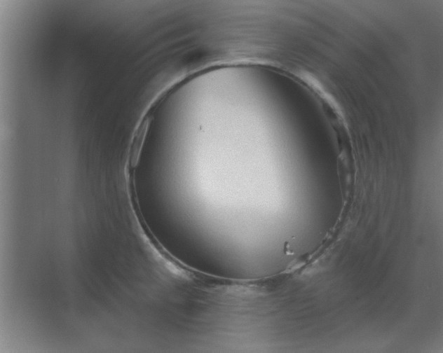 X0000069791189200605261649