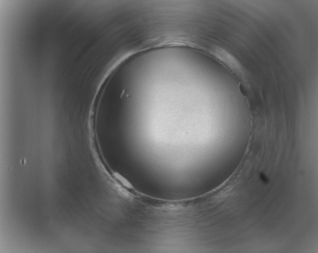 X0000069791190200605261649