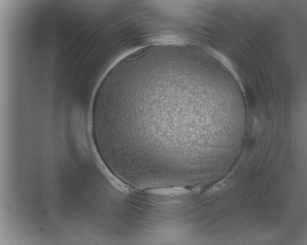 X0000069791195200605261649