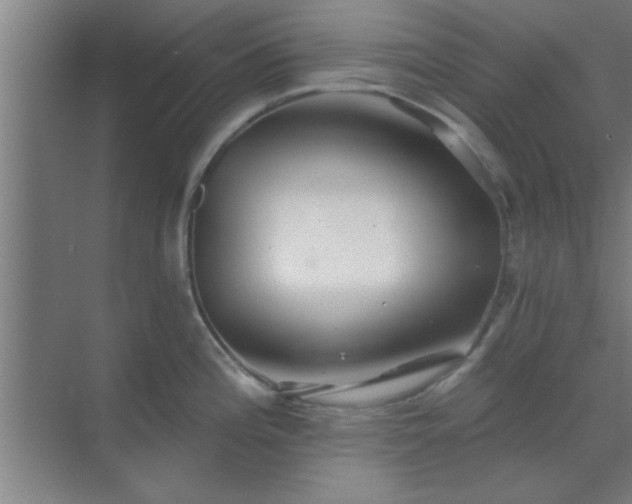 X0000069791196200605261649