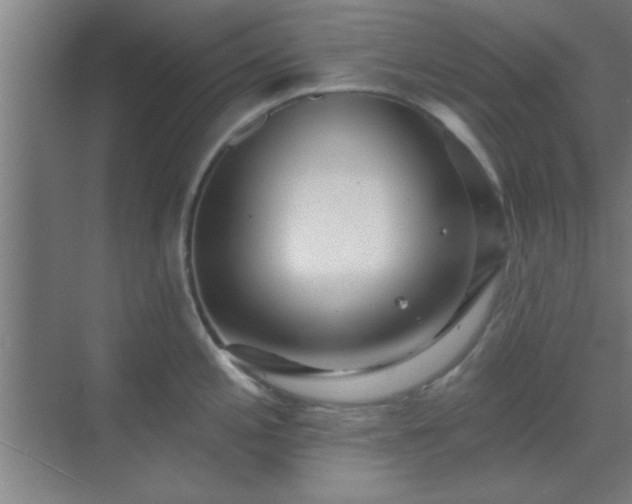 X0000069791197200605261649