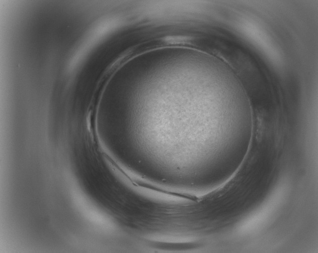 X0000069791198200605261648