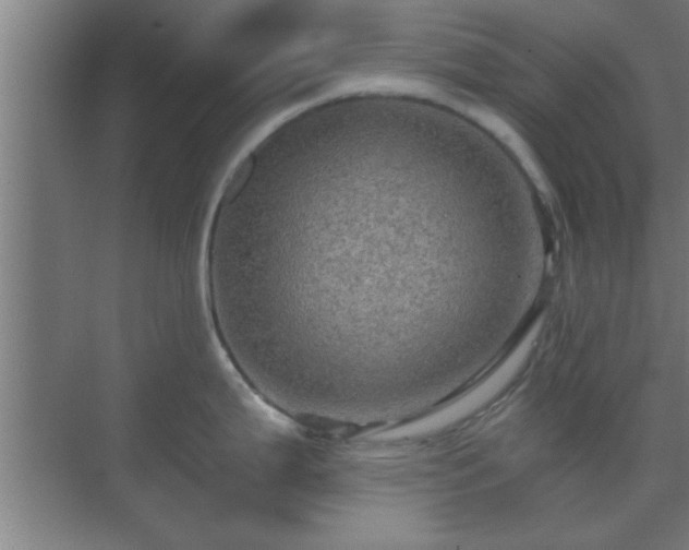 X0000069791199200605261648