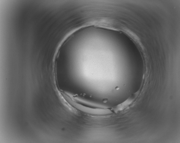 X0000069791200200605261648