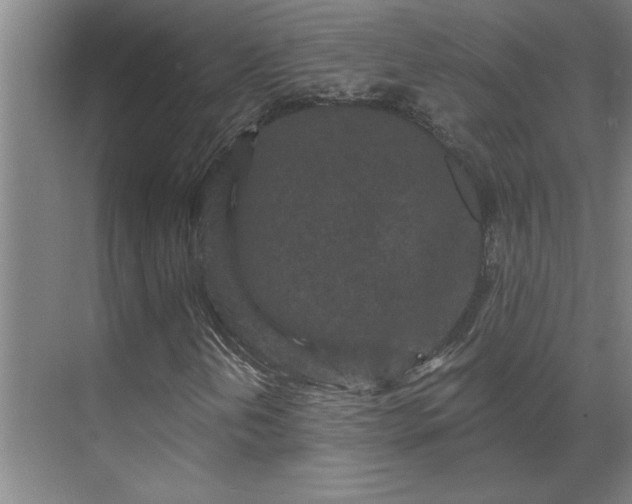 X0000069791202200605261648