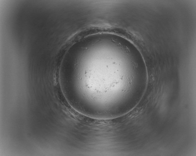 X0000069791205200605261648