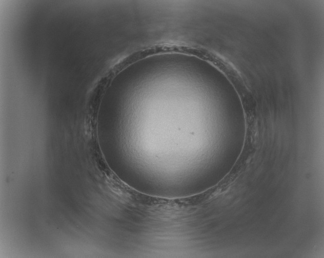 X0000069791207200605261648