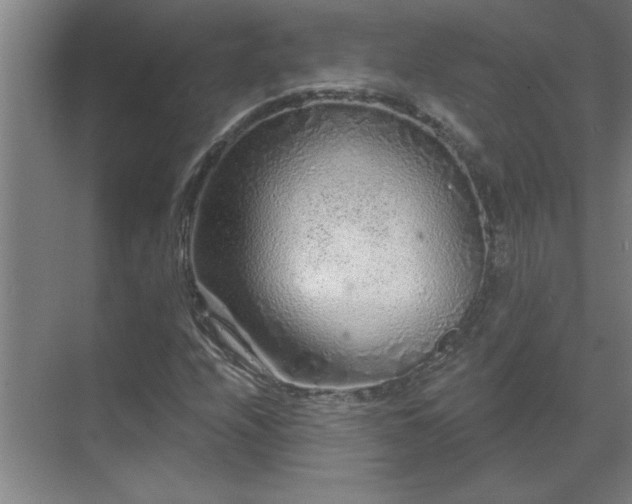 X0000069791208200605261648