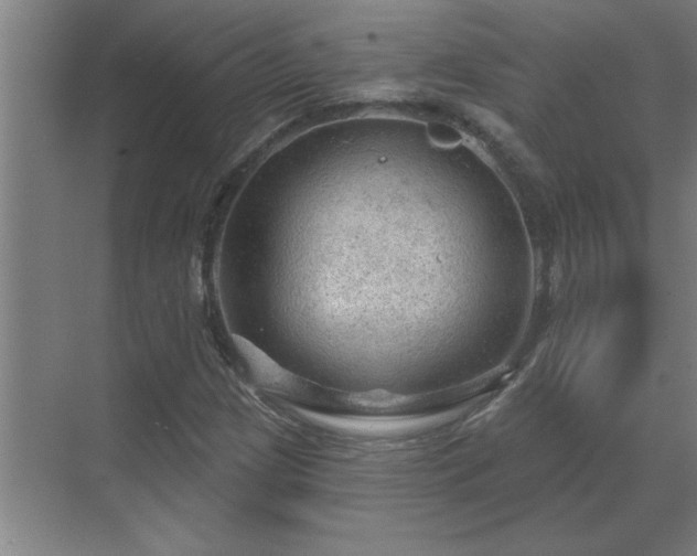 X0000069791209200605261648