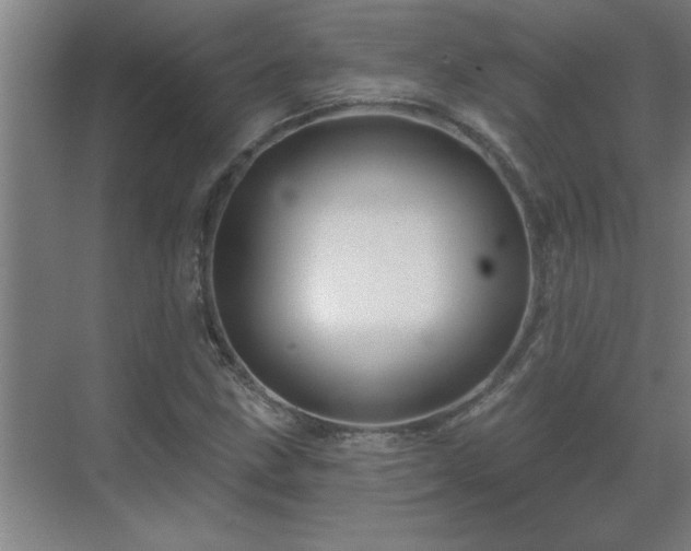 X0000069791211200605261648