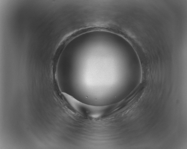 X0000069791214200605261648