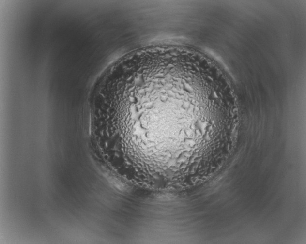 X0000069791219200605261648