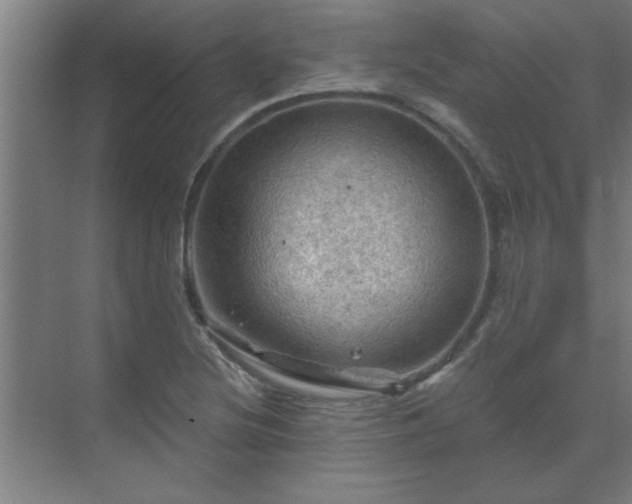 X0000069791220200605261648