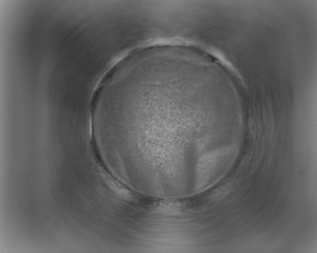 X0000069791221200605261648