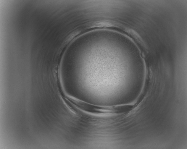 X0000069791225200605261648