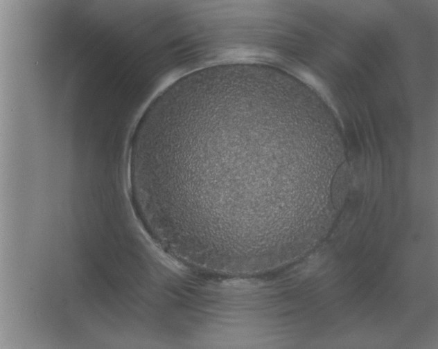 X0000069791227200605261648