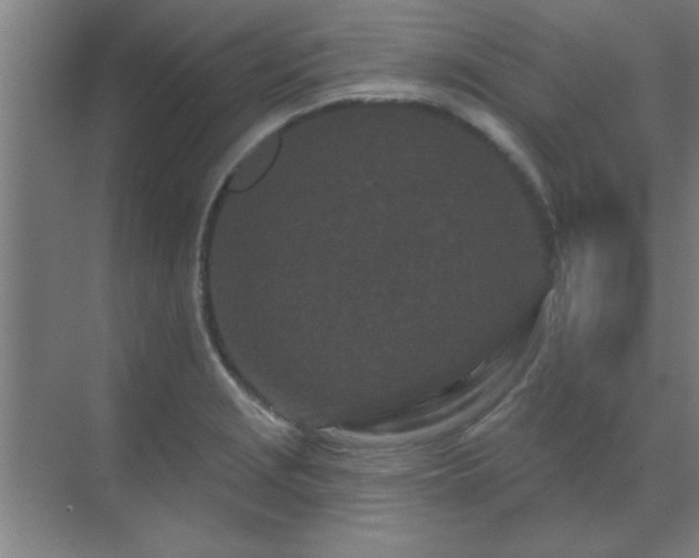 X0000069791229200605261648