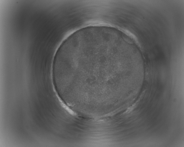 X0000069791231200605261648