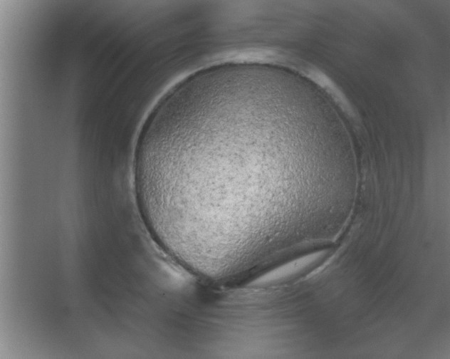 X0000069791232200605261648