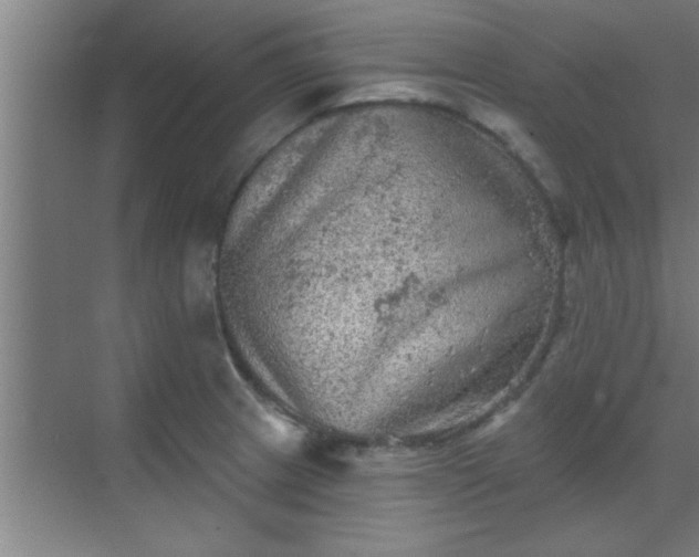 X0000069791233200605261648