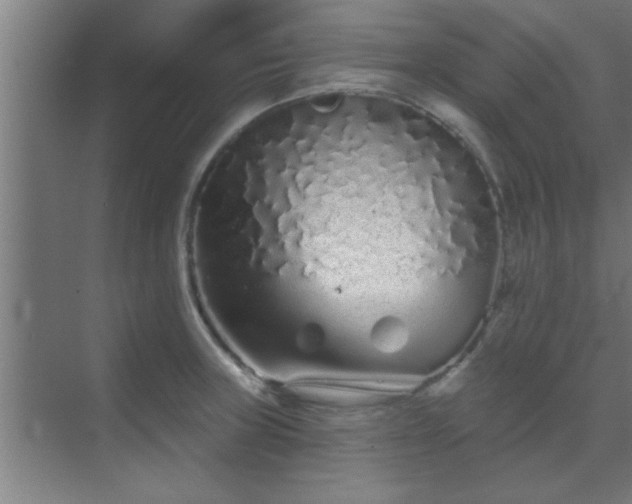 X0000069791235200605261648