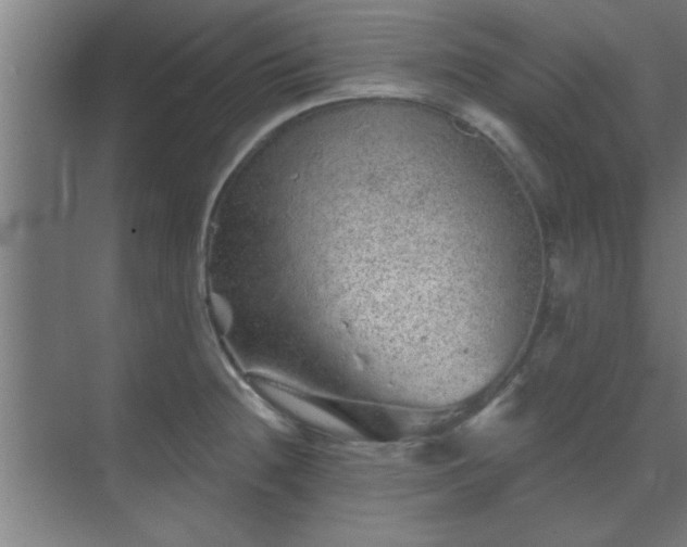 X0000069791236200605261648